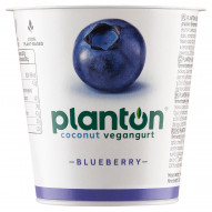 Planton Blueberry Vegangurt kokosowy 150 g