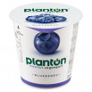 Planton Blueberry Vegangurt kokosowy 150 g